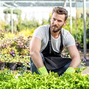 Dad | Husband | Organic Gardener | Nature Lover | Garden Blogger of TidytheGarden.