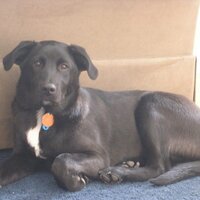 Todd Norris (@padre03) 's Twitter Profile
