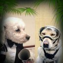 GaryNAVA - @GaryNava - Twitter