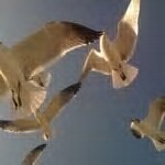 MEMORYOFMISTY's profile picture. My Daughter Was Killed By The COWARDLY Words Of Black Mafia Family Big Meech Cold Blooded Murder Of An Inocent Angel