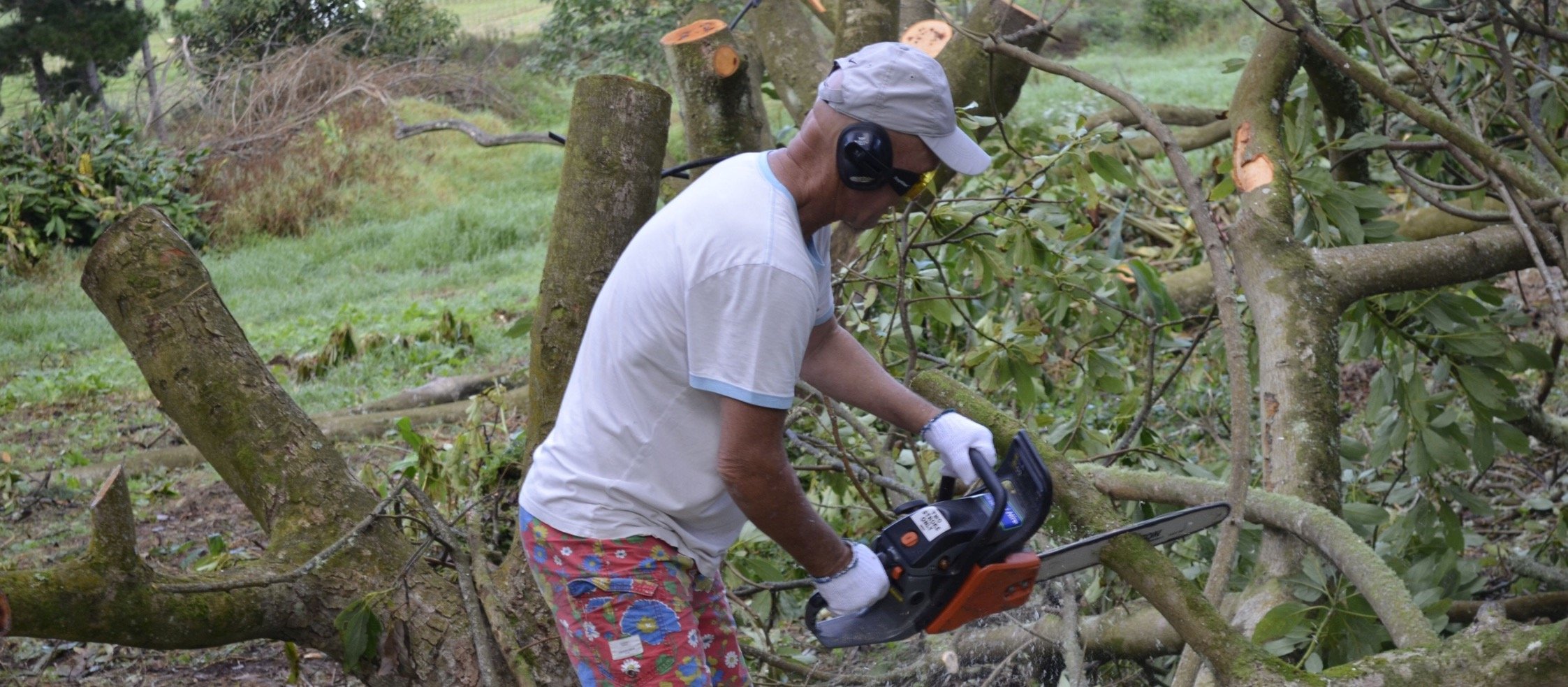 chippy8888's profile picture. 