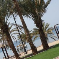 semo zizo (@cramoro) 's Twitter Profile Photo