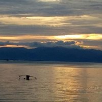 OEO SAMBOAN (@comelec2240) 's Twitter Profile