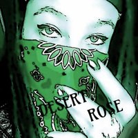 Desert Rose(@desertrose0000) 's Twitter Profile Photo