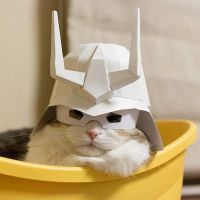 Steelebuddy17's profile picture. 