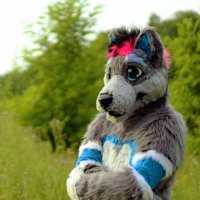 Ace / Zango (@acefloof) 's Twitter Profile Photo Ace / Zango (@acefloof) 's Twitter Profile Photo