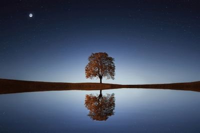 NQT Biology, Chemistry & Science Teacher in Ireland