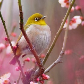 elsakaa012's profile picture. 