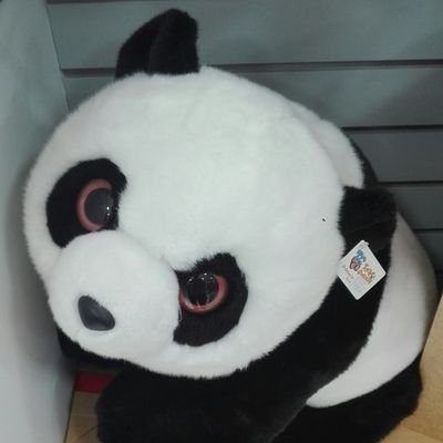 JosValdivieso2's profile picture. 