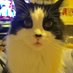 elldina2๐๐๐ (@elldina2) Twitter profile photo elldina2๐๐๐ (@elldina2) Twitter profile photo