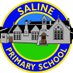 Saline PS & Nursery (@salineps) Twitter profile photo Saline PS & Nursery (@salineps) Twitter profile photo