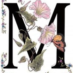 Maninderdeep101's profile picture. Hiii guys my name is Maninderdeep Kaur Tiwana.I am from India and i am enrolled in Public Relation program in conestoga college.