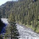 Kevin Sander - @plantingtrees - Twitter