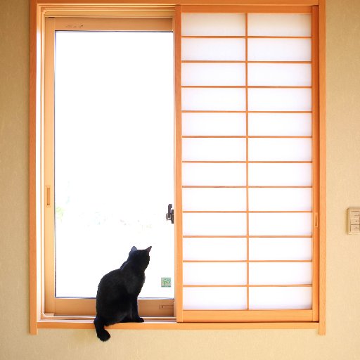 ジジとロコ。黒猫の兄妹。どうぞお見知りおきを。 Jiji & Roco, we are black cat's brother and sister. 8-year-old. Instagramメインでupしています。