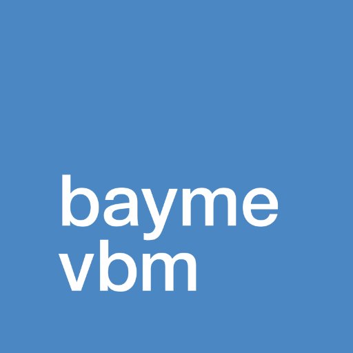 baymevbm Profile Picture