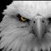 ... (@rafasillvaaa) Twitter profile photo ... (@rafasillvaaa) Twitter profile photo