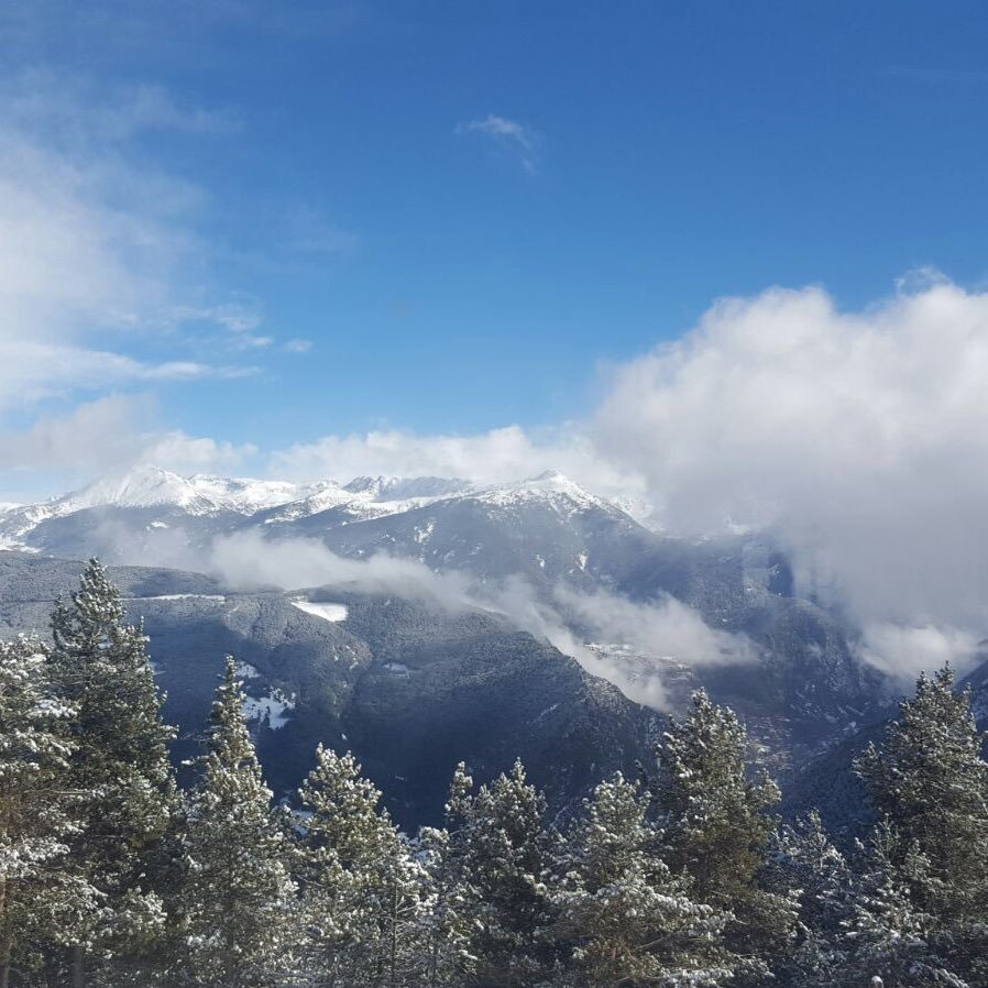 davidepedro's profile picture. 