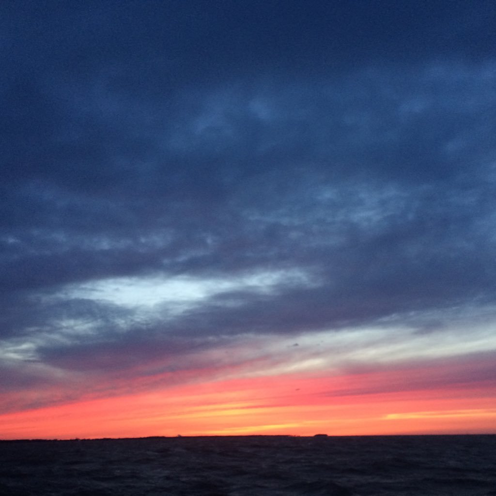 funbooks2read's profile picture. i'm a book lover 📖 currently writing a book 🤘🏼