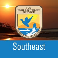 US Fish and Wildlife (@usfwssoutheast) 's Twitter Profile Photo US Fish and Wildlife (@usfwssoutheast) 's Twitter Profile Photo