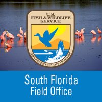 USFWS Florida(@USFWSVero) 's Twitter Profile Photo