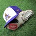 Alcorn Baseball (@alcorn_bsb) Twitter profile photo Alcorn Baseball (@alcorn_bsb) Twitter profile photo