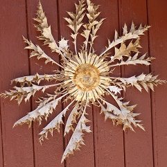 _Mart0's profile picture. NI DIEU , NI MAÎTRE !