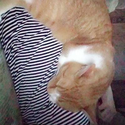 elliemmac's profile picture. the moment you feel like you have to prove your worth to someone is the moment to absolutely and utterly walk away