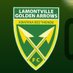 Lamontville Golden Arrows FC (@goldenarrowsfc1) Twitter profile photo