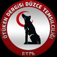Ötüken Düzce (@otukenduzce) 's Twitter Profile