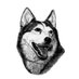 The Leader DHS (@leaderdhs) Twitter profile photo The Leader DHS (@leaderdhs) Twitter profile photo