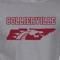 Collierville Cheer (@godragonscheer) 's Twitter Profile Photo Collierville Cheer (@godragonscheer) 's Twitter Profile Photo
