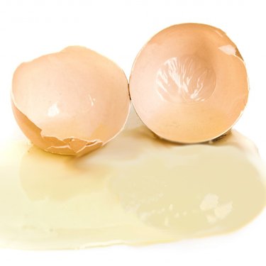 Clara_D_Huevo's profile picture. aún discutiendo si el huevo es malo o bueno