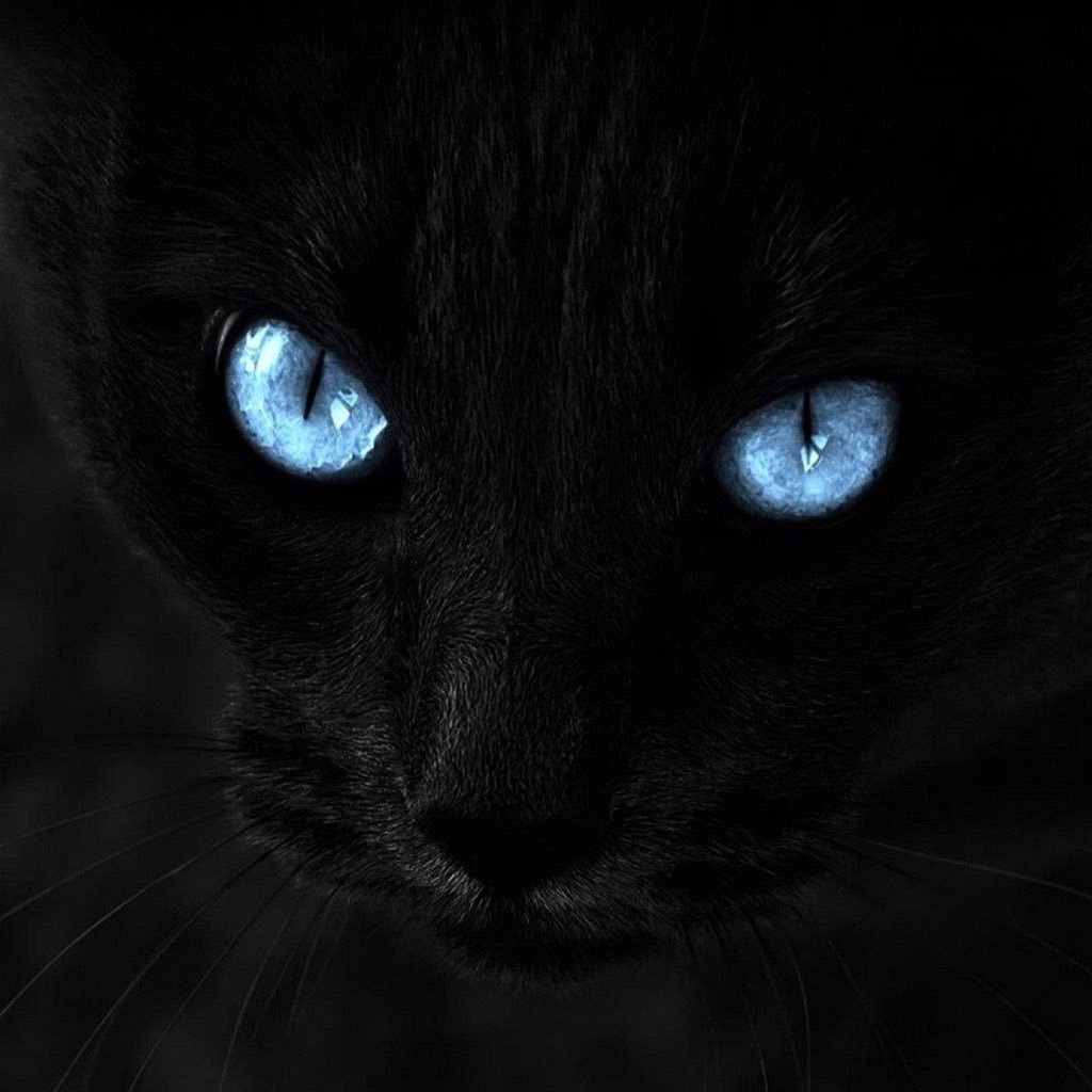 roussju's profile picture. Una de mis más grandes pasiones es salir a hacer bici!