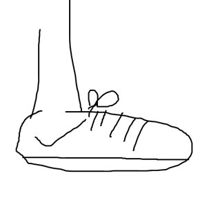 The Shoe Profile