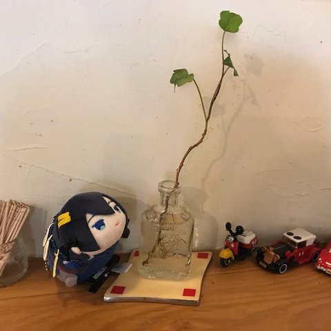 黒猫りゅいさんのプロフィール画像