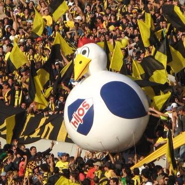 GFAL0VER's profile picture. ⚽️🧡🖤🧡⚽️