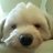 myu083's profile image