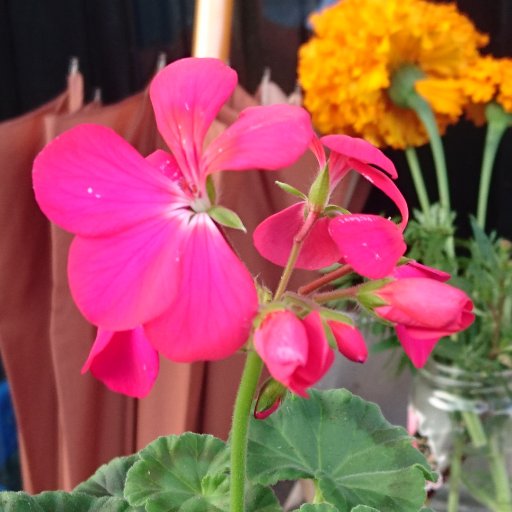 @exli3141の開発関連用&裏アカウント。それ以上でもそれ以下でもありません。
icon: Photo of Garden Geranium.
githubpage: https://t.co/qkzqX5sLkr qiita: https://t.co/W6fiuOj8Gi