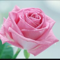 اللـيدي؛ قـمـرھ ⇢৩❥✿ (@8amraq8) 's Twitter Profile Photo اللـيدي؛ قـمـرھ ⇢৩❥✿ (@8amraq8) 's Twitter Profile Photo
