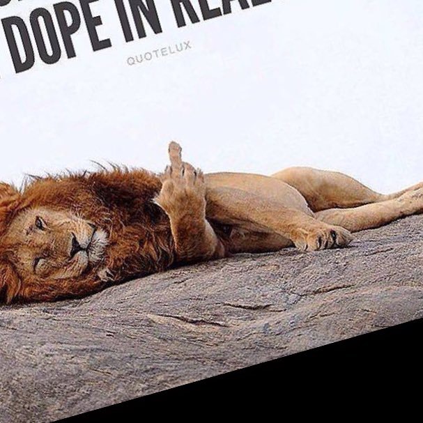 finalword2018's profile picture. 