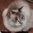 takumacatmanのアイコン