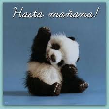 menendez_ing's profile picture. 