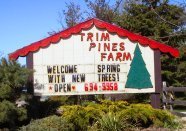 @trimpines