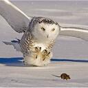 Gary Hetzel - @hetzelhaus - Twitter