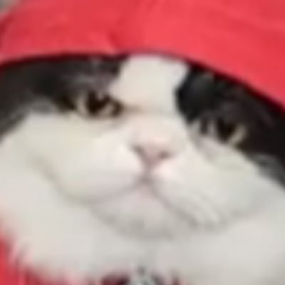 isabel0913_'s profile picture. ✌︎('ω')✌︎