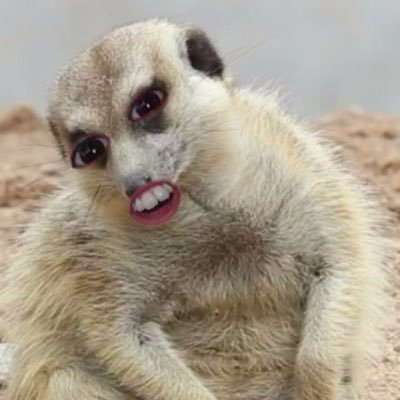 I6cwTVmCOdfLBwC's profile picture. 