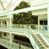 Environment@SMU (@smuenvironment) 's Twitter Profile
