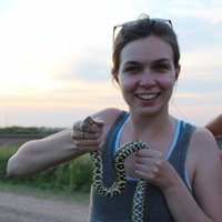 Emmi Mueller (@emmi_a_mueller) 's Twitter Profile