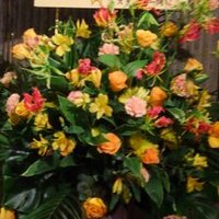 よし (@atrsiczg) Twitter profile photo
