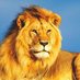 Jaime de Villanueva (@jaimedvillanuev) Twitter profile photo Jaime de Villanueva (@jaimedvillanuev) Twitter profile photo
